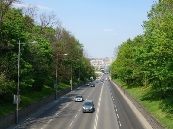 Bäume entlang einer Straße